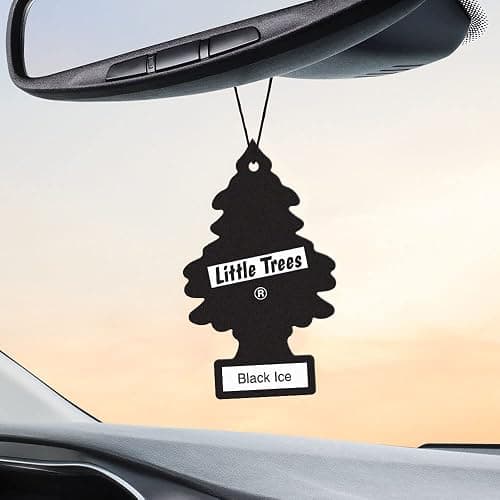 LITTLE TREES Car Air Freshener | Hanging Tree Provides Long Lasting Scent for Auto and Home | Black Ice, 24 Air Fresheners thumbnail 5