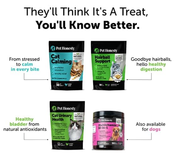 Cat Multivitamin Crunchy & Creamy Chews - Cat Treats for Health + Immune, Joint Support, Skin & Coat, & Digestion - Vitamins with Omega 3s, Lysine & Probiotics (30 Day Supply) thumbnail 5
