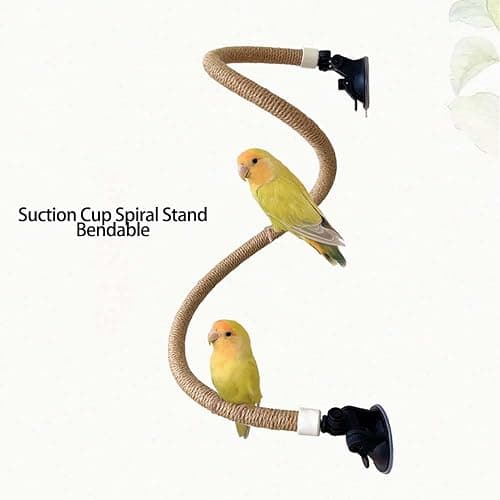 Suction Cup Set for Bird Window/Bath/Car/Travel Perches - Suitable for Small and Medium Bird Parrot Parakeet Cockatiel Conure Budgie Lovebirds thumbnail 9