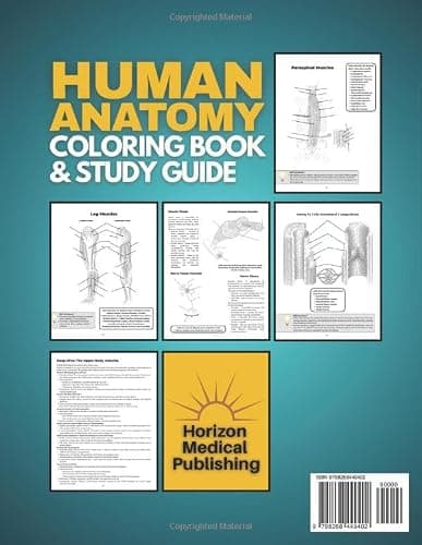 Human Anatomy Coloring Book and Study Guide: 150+ Hyper-Realistic Anatomical Illustrations, 50+ In-depth Anatomy and Physiology Study Guide Pages, and ... Medical, Nursing, and Healthcare Students. thumbnail 2