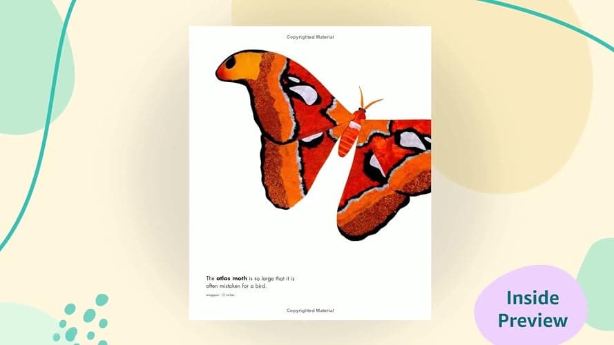 Actual Size: A Captivating Animal Picture Book of Real-Life Measurement and Nature Facts thumbnail 2