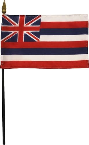 Hawaii - 4 in x 6 in State Stick Flag - Image 1