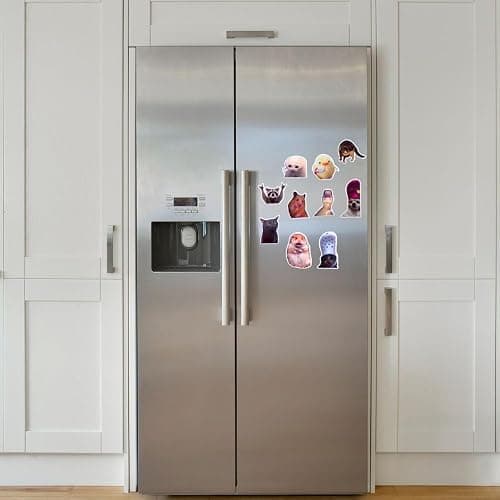 10PC Funny Meme Animals Fridge Magnets, Fun Cute Weird Magnetic Crying Cat Dog Hamster Duck Magnets for Gaming Kitchen Home Decor Bumper School Locker Work for Boys Girls Adult Accessories thumbnail 2