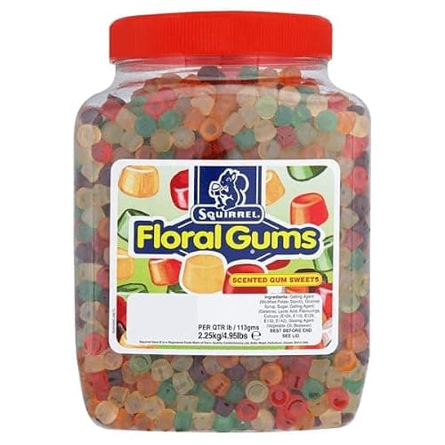 Valeo Squirrel Floral Gums - 2.25kg Plastic Jar - Delicious Fruit Flavors, Chewy Candy, Perfect for Sharing, Bulk Candy - Image 1