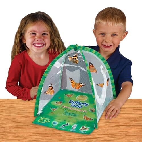 Insect Lore Butterfly Farm™  thumbnail 7