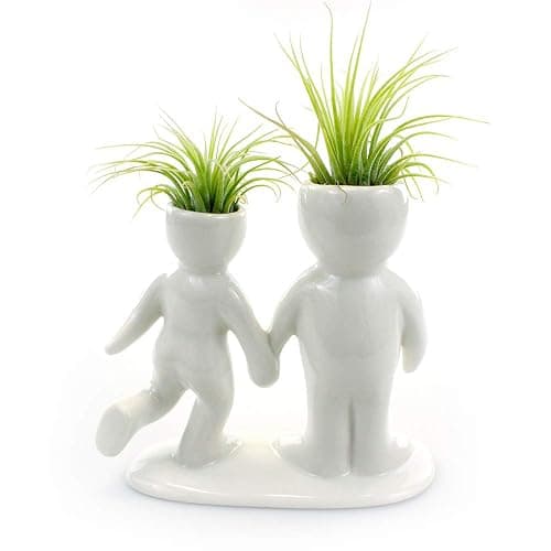 NW Wholesaler 5 Inch White Ceramic Couple Holding Hands People Shaped Planter with Two Live Tillandsia Air Plants - Potted Indoor Air Plants for Home and Office Decor thumbnail 7