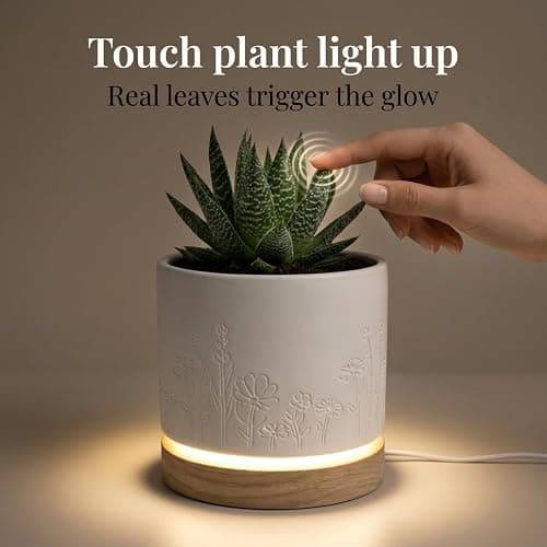 Magic Plantern® | Touch Your Plant to Turn On the Light | Planter Lamp | Unique Plant Lover Gift | Nightstand Ambient Lamp | Succulent Pot with LED thumbnail 10