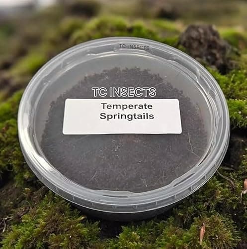 TC INSECTS Live Springtail (Temperate) Culture - 8oz - Image 1