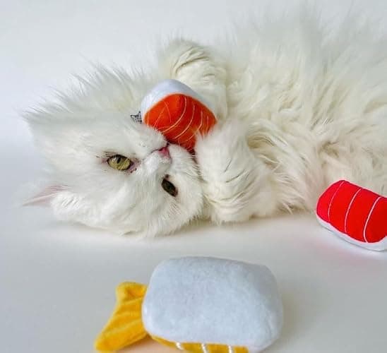 munchiecat Premium Organic Catnip Sushi Toy (1-pc) for Cats, Kittens - USA Made Durable Design for Pouncing, Batting and Play thumbnail 9