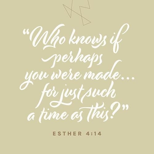 NLT Every Woman’s Bible, Filament Enabled (LeatherLike, Sky Blue, Red Letter) thumbnail 6
