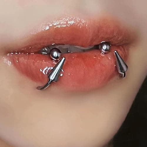 Zolure 16g Lip Rings Horseshoe Labret Jewelry Lip Barbell Ring Spike Snake Bite Piercing Jewelry Tragus Helix Earrings Studs Medusa Piercing for Women Men thumbnail 5