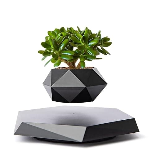 MOOCCI Levitating Plant Pot Floating Plant Potted Plant, Ideal Home Gift for Father's Day, Classmates for Halloween, Thanksgiving, Christmas - Image 1