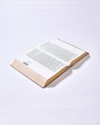 NBLA, Santa Biblia, Ama a Dios Grandemente, Interior a cuatro colores Leathersoft, Oro Rosa, Comfort Print (Spanish Edition) thumbnail 8