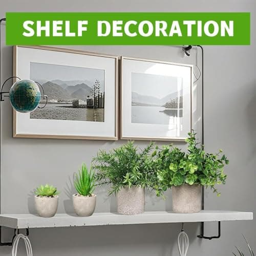 Artificial Plants Indoors in Pots, 4 Set Small Fake Plants, Plastic Eucalyptus, Rosemary, Mini Succulents Faux Plant for Office Desk Decor, Bedroom, Bathroom, Kitchen, Home Decoration. thumbnail 7