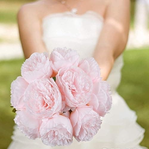 JOYHAZE 8 Stück Künstliche Pfingstrosen (ohne Vase), Seiden-Einzelstiel-Pfingstrosen Kunstblumen für Hochzeit, Zuhause, Büro, Party, Fensterdekoration, Tischmittelpunkte, DIY-Blumenarrangements thumbnail 7