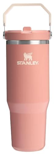 Stanley IceFlow Flip Straw Tumbler with Handle | Twist On Lid and Flip Up Straw | Leak Resistant Water Bottle | Insulated Stainless Steel | BPA-Free - Image 1