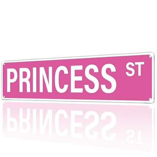MOLESS 16x4″ Princess Street Sign, Princess Room Decor, Pink Y2K, 2482 | Princess Wall Decor & Decorations; Cute Pink Street Sign Poster; Girly Bedroom, Dorm & Apartment Decor; Teen Room Accessories - Image 1