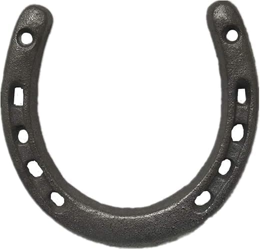 Goensjt Cast Iron Horseshoe Wall Decor, Medium Horseshoe Sturdy Cast Iron 5 Holes On Each Side for Indoor Or Outdoor - Image 1