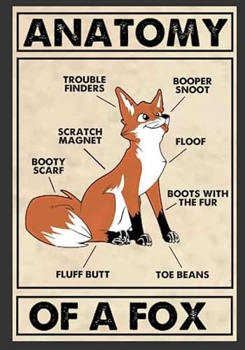 Fox Knowledge Metal Tin Sign Anatomy Of A Fox Retro Poster School Education Living Room Bathroom Kitchen Home Art Wall Decoration Plaque