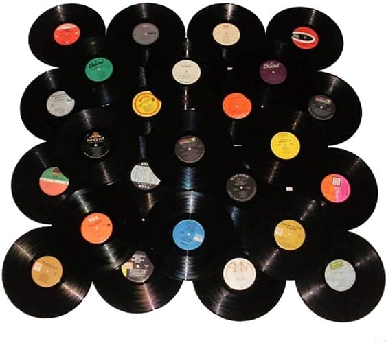 VinylShopUS - Lot of 12" Vinyl Records for Crafts & Decoration Artwork for Party Decor Artist Studio Vintage Look (Lot of 10) - Image 1
