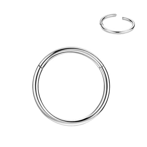 FANSING Men Women 316L Surgical Steel Hinged Nose Rings Hoop for Nostril Septum Cartilage Helix Daith Tragus Rook Conch Lip Ear Lobe Piercings - Image 1