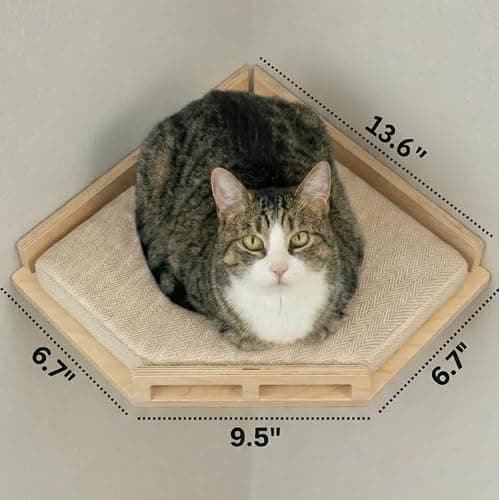 INICIO Cat Wall Shelves - Safe and Sturdy Cat Wall Furniture - Stylish Natural Wood Corner Shelf with 3 Steps for Cats up to 15lbs - Cushioned Perch and Stairs for Climbing and Playing thumbnail 3
