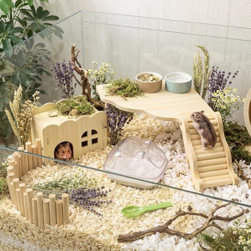 5 Pcs Hamster Platform Wooden Fence Bridge Ladder Climbing Toy Hidden House Exploring Toy with Hamster Bath Container Decor Cage Accessories for Small Animals Dwarf Syrian Gerbils Squirrel(Classic) thumbnail 6