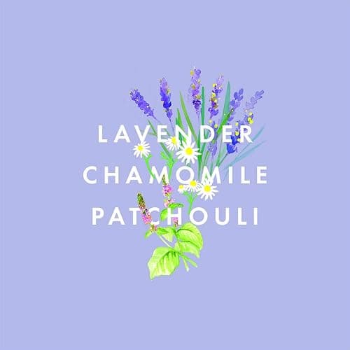 NEOM - Lavender & Chamomile Mist for Body & Pillow, 1 Fl Oz | Perfect Night's Sleep Range | Essential Oils | Pillow Mist - Lavender - 1 Fl Oz (Pack of 1) thumbnail 6