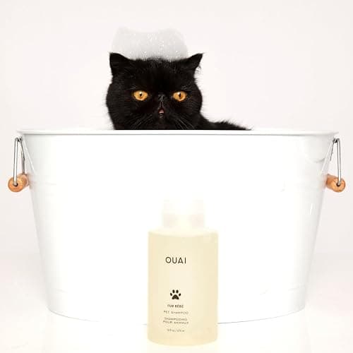 shampoo thumbnail 7