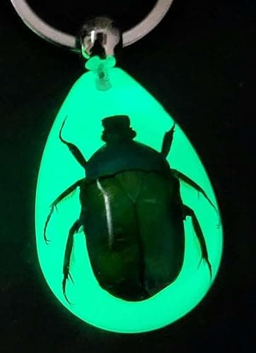 HQRP-Crystal 45mm Real Emerald Green Chafer Beetle in Glow in The Dark Lucite Keychain Insect Animal Taxidermy Sample Inside for Biology Science Education Decoration Tear Drop Key Ring Chain Pendant thumbnail 2