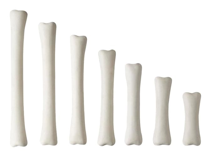 Yellow Door Dinosaur Bones Match & Measure Set, Multi thumbnail 2