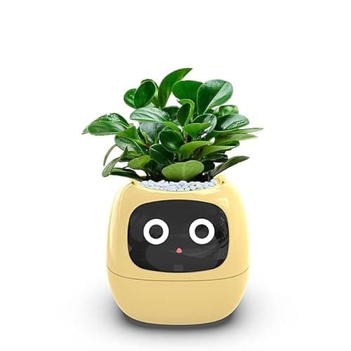 Itigoitie Smart Flowerpots,Smart Pet Planter,Ai Planter,Intelligent Flowerpots,Multiple Expressions,7 Smart Sensors, and Ai Chips Make Raising Plants Easy and Fun for Living Room,Plant-Free,Yellow thumbnail 3