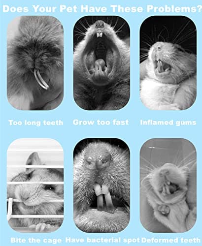 Dbeans Flourithing 150g 3 Types of Combined Chew Toys Molar Sticks Sweet Bamboo Apple Branch Timothy Grass for Pets Chinchilla Squirrel Gerbil Hamster Squirrel Guinea Pigs thumbnail 4