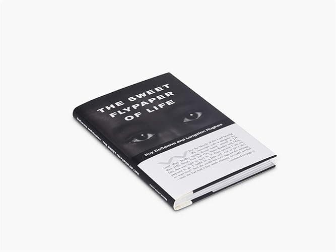 The Sweet Flypaper of Life (softcover) thumbnail 7