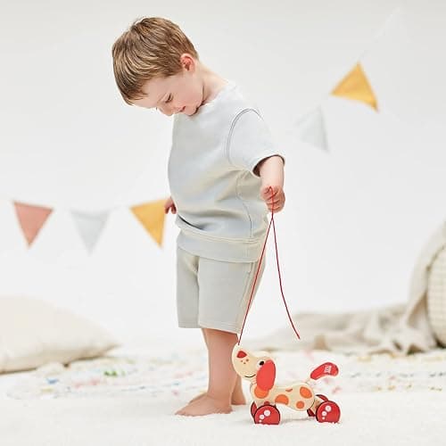 Hape Walk-A-Long Puppy Wooden Pull Toy thumbnail 2
