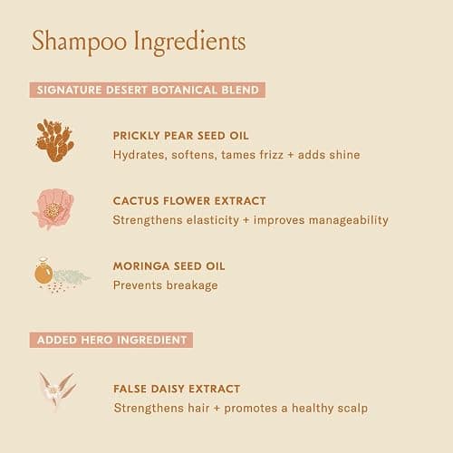 DAE Signature Duo Set (Shampoo & Conditioner) thumbnail 4