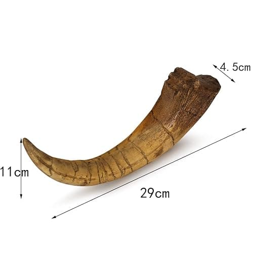 Fossilized Teeth and Claws of Various Prehistoric Dinosaurs, Megalodon Shark Teeth, and High-Fidelity Replicas (Megaraptor Claw) thumbnail 3