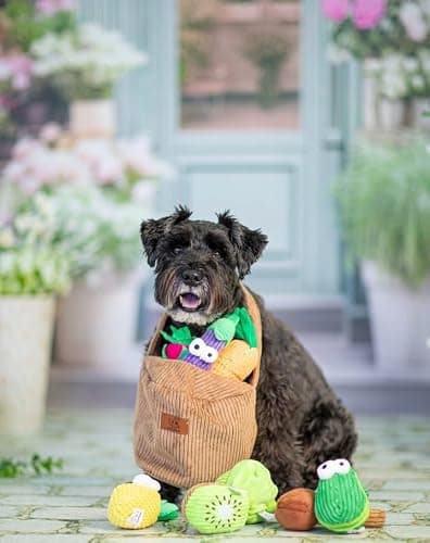 Nocciola Small Squeaky Crinkle Dog Toys- 15 Packs Grocery Basket Fruits Veggies Puppy Toys to Keep Busy, Cute Durable Plush Stuffed Hide Seek Cognitive Dog Christmas Stocking Stuffers thumbnail 8