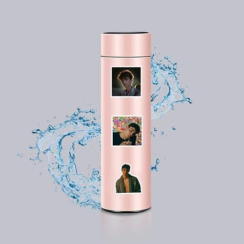 60 Pcs The Summer I Turned Pretty Classic TV Fashion Aesthetic Waterproof Vinyl Stickers for Birthday Party Supplies Decoration Favors for Water Bottles Laptop Suitcase thumbnail 5