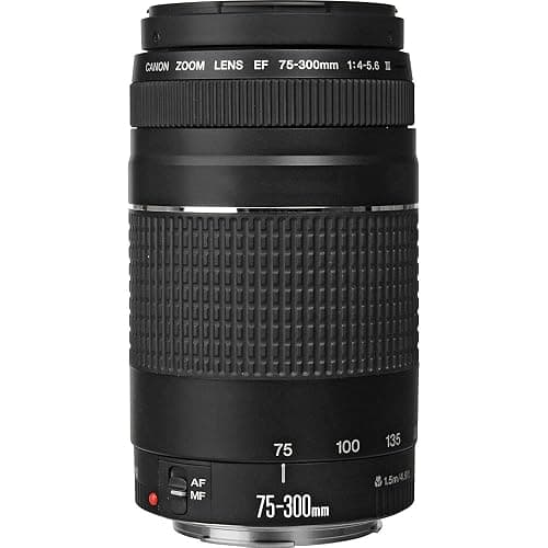 Canon EF 75-300mm f/4-5.6 III Lens Bundled with 58mm UV Filter + Lens Cap Keeper + Microfiber Cleaning Cloth (4 Items) - Image 1