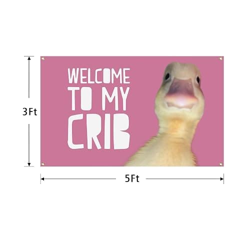 Welcome To My Crib Flag 3x5 Ft Pink Funny Flag with Brass Grommets for Man Cave College Dorm Bedroom Gift Home Decor thumbnail 3