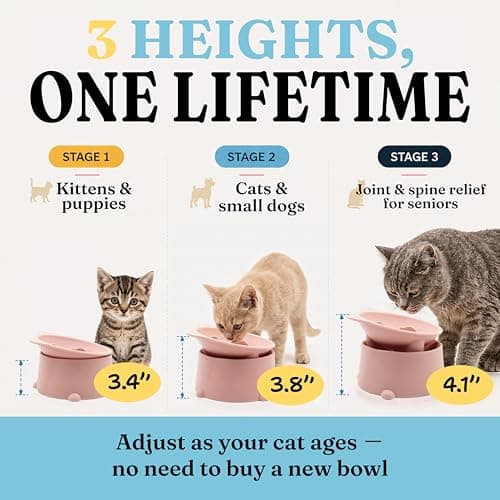 Cat Slow Feeder Bowl, Raised Slow Feeder Cat Bowl for Dry and Wet Food, Elevated Slow Feeder Dog Bowls Small Breed and Puppy, BPA Free Silicone Bowl, Heights Adjustable, Microwave & Dishwasher Safe thumbnail 3