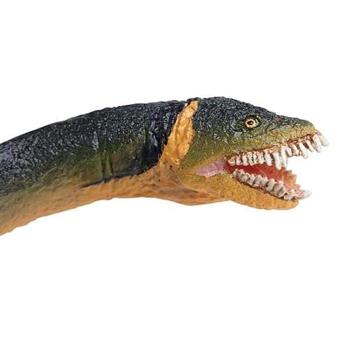 Safari Ltd. Elasmosaurus Figurine - Detailed 10" Marine Dinosaur Figure - Educational Toy for Boys, Girls, and Kids Age 3+ thumbnail 4