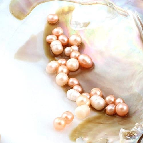 jessie Big Oysters with Plenty of Pearls Inside, 1 PC Cultured Freshwater Oyster Pearl for Jewelry Making or Birthday Gifts (5-7mm) thumbnail 3