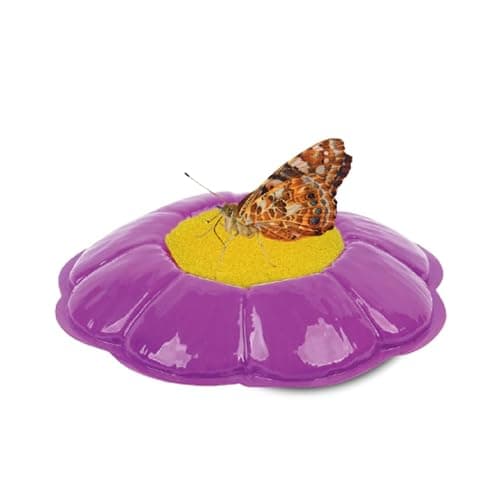 Insect Lore Butterfly Farm™  thumbnail 6