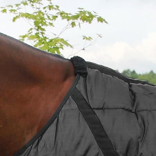 Country Pride Sentinel Channel Quilt Horse Stable Blanket, Midweight Open Front, 420D Nylon Outer Shell, 250g Poly-Fill Insulation, Wither Protection, Adjustable Leg Straps, Bias Surcingle (54,Black) thumbnail 2