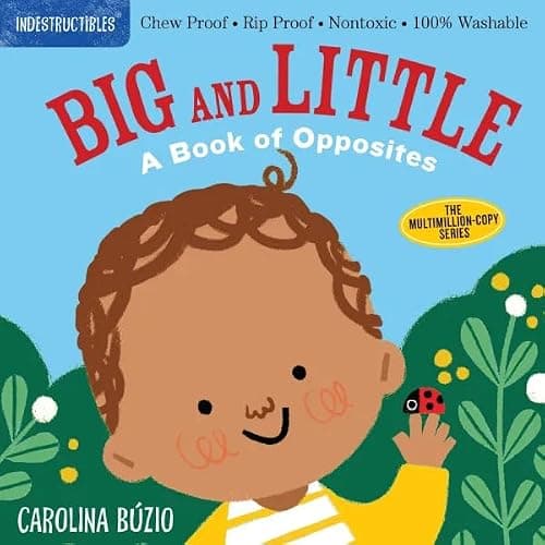 Indestructible Series Fun 6-Book Collection Set - Chew-Proof, Rip-Proof, and Washable Baby Books - All Year Round, Let’s Go Outside!, Let’s Be Kind, Baby Find the Shapes!, Big and Little, Baby See the Colors! thumbnail 6