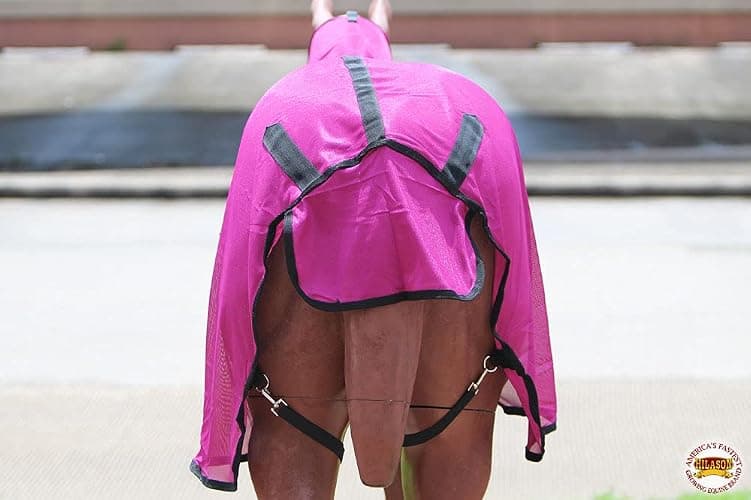 HILASON Horse Fly Sheet - Summer Spring UV Protection Mesh Bug Mosquito FlySheet for Horses | Mosquito Horse Fly-Sheet thumbnail 7