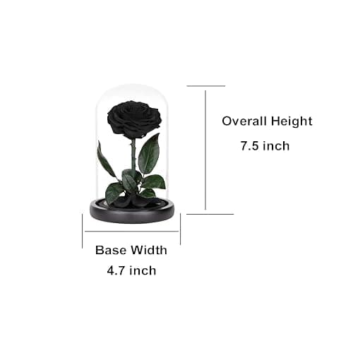 Preserved Roses Black Roses in Glass Dome, Medium, Preserved Flowers for Mothers Day, Gifts for Women thumbnail 3