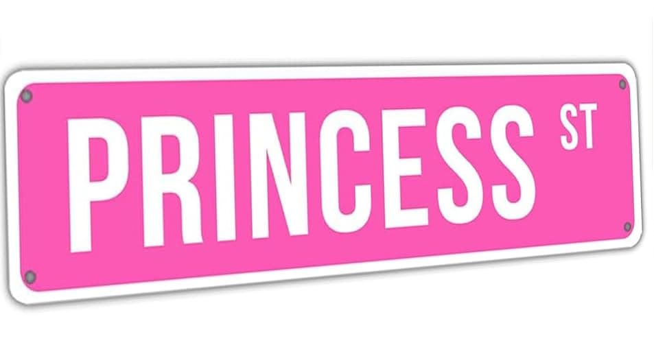 Princess Street Sign Pink Princess Room Decor Pink Princess St Tin Sign Y2k Wall Decor For Girl Bedroom Vintage Girly Wall Art Poster Metal Sign Girls Cave 4x16 Inch - Image 1